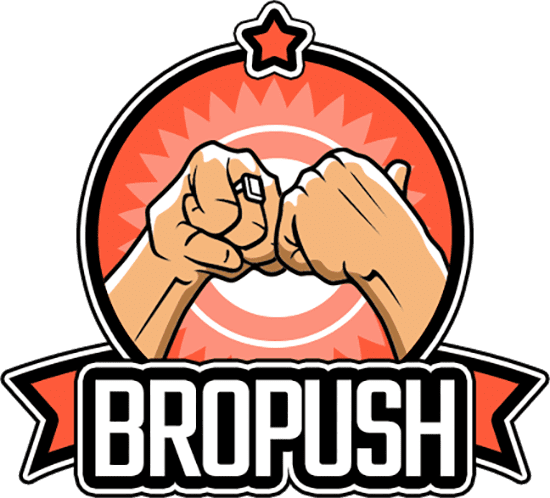 BroPush - прибыльная монетизация трафика | Блог